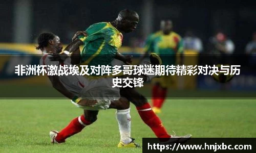 非洲杯激战埃及对阵多哥球迷期待精彩对决与历史交锋