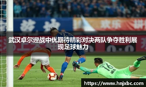 江南·综合体育